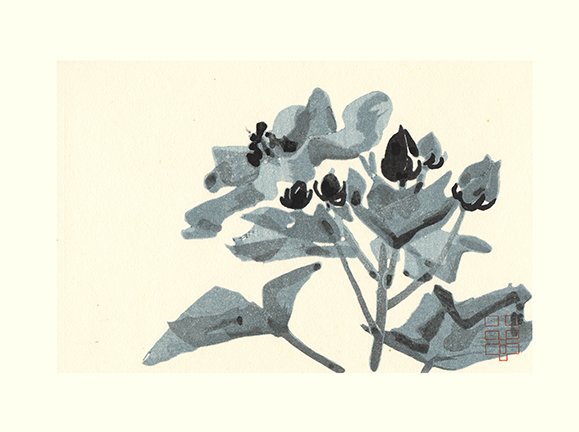 photo15.jpg