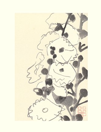 photo17.jpg