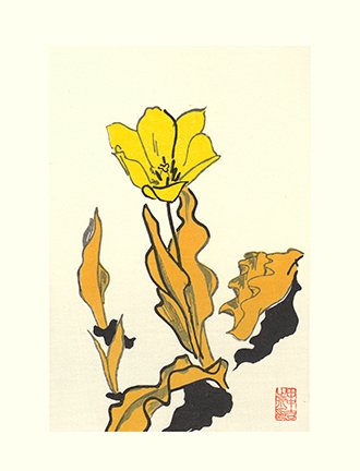 photo27.jpg