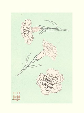 photo30.jpg