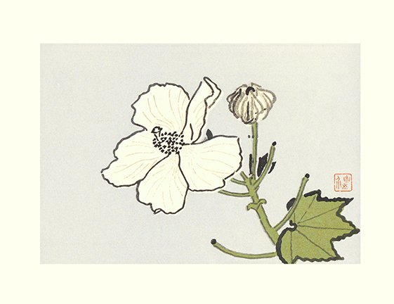 photo40.jpg