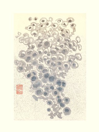 photo47.jpg