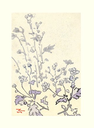 photo57.jpg
