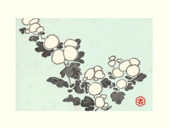 photo71.jpg