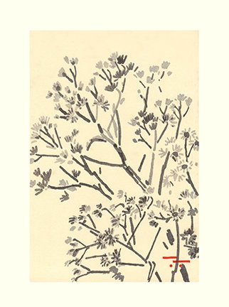 photo77.jpg