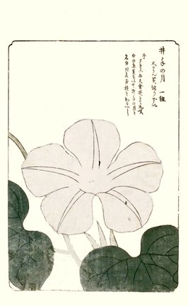 photo.jpg