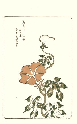 photo10.jpg
