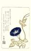 photo100_small.jpg