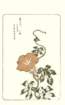 photo10_small.jpg