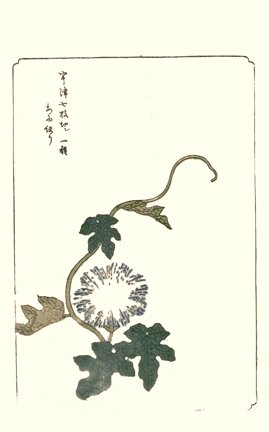 photo11.jpg