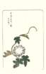 photo11_small.jpg