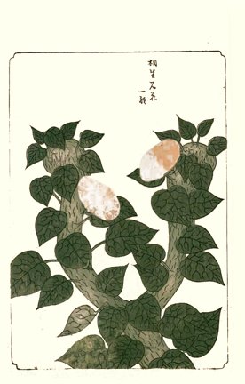 photo15.jpg