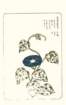 photo17_small.jpg