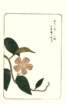 photo18_small.jpg