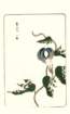 photo19_small.jpg