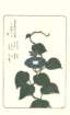 photo20_small.jpg