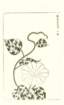 photo21_small.jpg