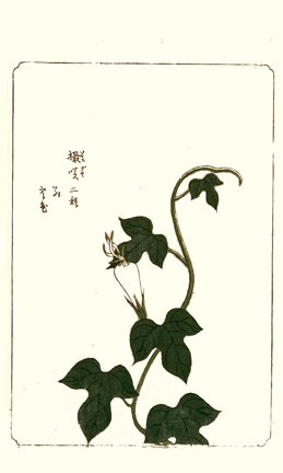 photo22.jpg