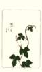 photo22_small.jpg