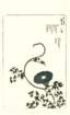 photo23_small.jpg