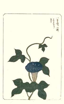 photo24.jpg