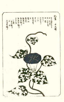 photo25.jpg