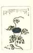photo25_small.jpg