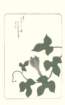photo26_small.jpg