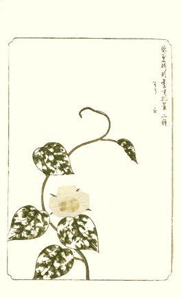 photo27.jpg