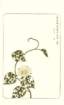 photo27_small.jpg