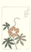 photo28_small.jpg