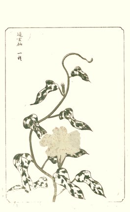 photo29.jpg
