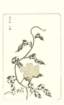 photo29_small.jpg
