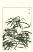 photo2_small.jpg