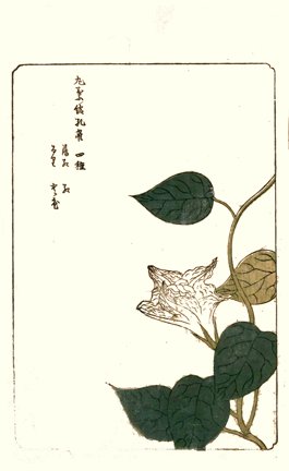 photo3.jpg
