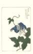 photo31_small.jpg