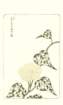 photo32_small.jpg