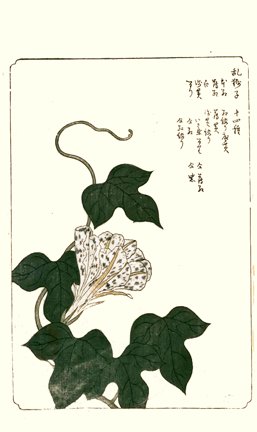 photo33.jpg