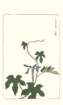 photo34_small.jpg