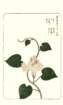photo35_small.jpg