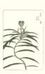 photo36_small.jpg