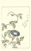 photo41_small.jpg