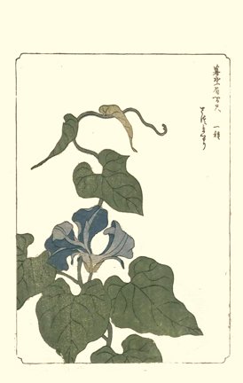 photo44.jpg