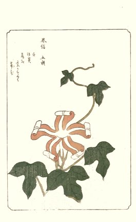 photo45.jpg