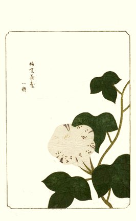 photo47.jpg