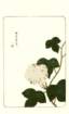 photo47_small.jpg
