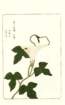 photo49_small.jpg