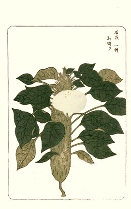 photo50.jpg