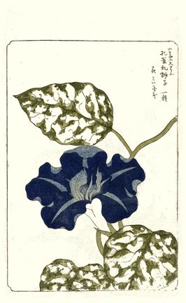 photo52.jpg