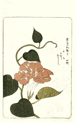 photo54.jpg